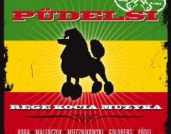 Rege kocia muzyka - The Best Of Pudelsi