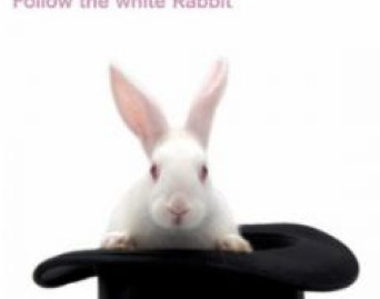 Follow the White Rabbit
