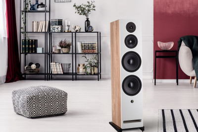 Davis Acoustics Krypton 10 - kolumny do dużych pomieszczeń