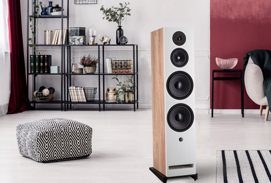 Davis Acoustics Krypton 10 - kolumny do dużych pomieszczeń