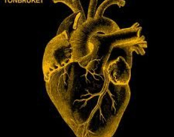 Dan Berglund`s Tonkbruket