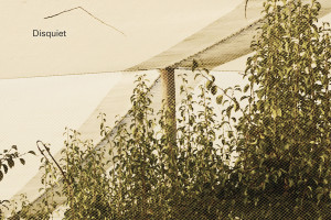 Disquiet