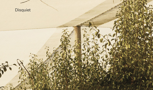Disquiet