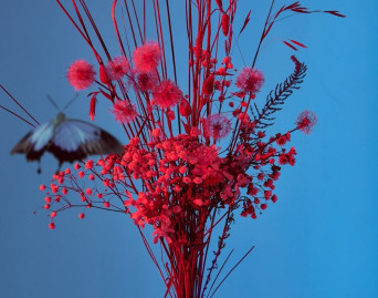 Mikromusic z Dolnej Półki