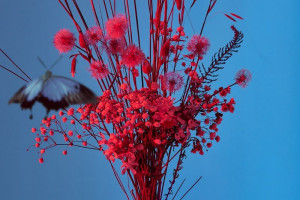 Mikromusic z Dolnej Półki