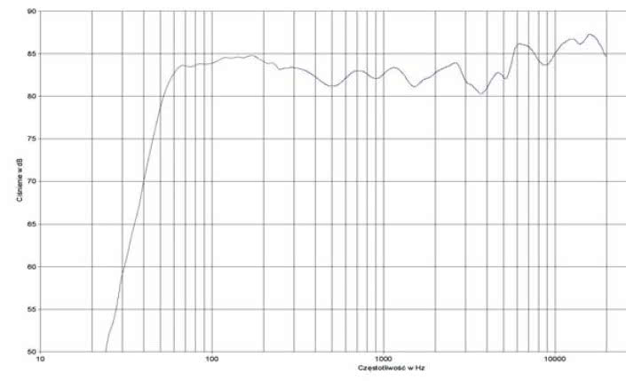 rys. 2. Focus 110, charakterystyka przetwarzania w całym pasmie.