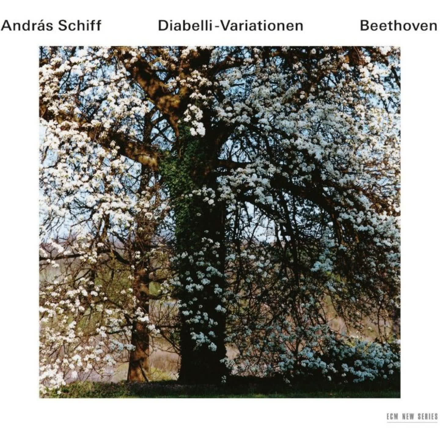 Beethoven: Diabelli-Variationen