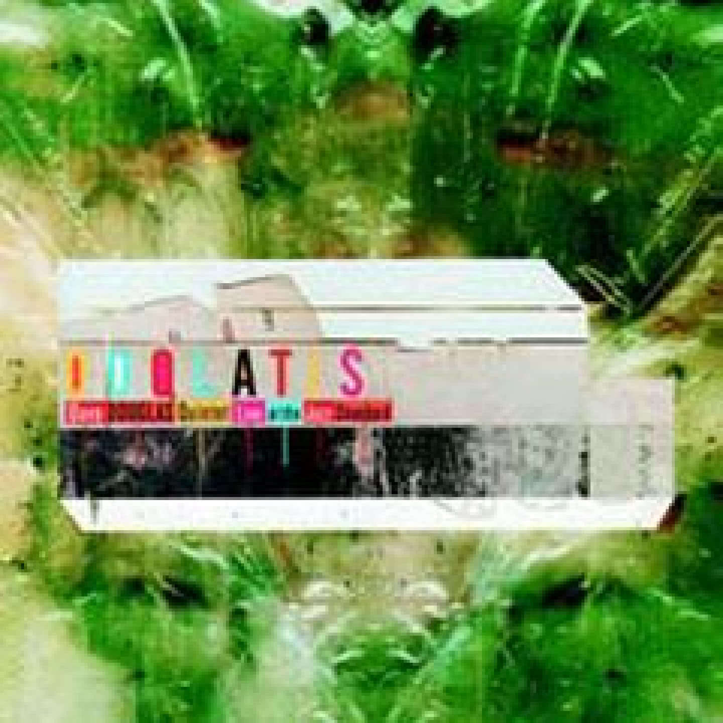 Live At The Jazz Standard