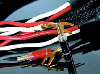 Condor gra mocną średnicą, dodaje jednak do tego znakomitą dynamikę.