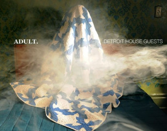 Detroit House Guests