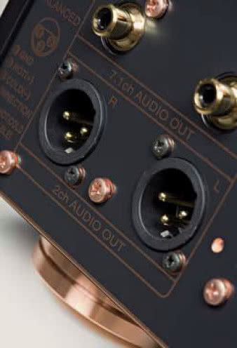 Wyjście dwukanałowe potraktowano
priorytetowo, montując (wyłącznie)
gniazda XLR.