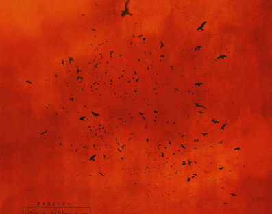 ØRGANEK wydaje reedycję "Czarnej Madonny"