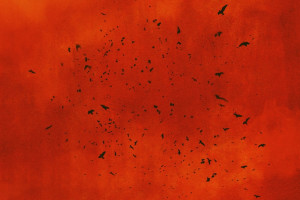 ØRGANEK wydaje reedycję "Czarnej Madonny"