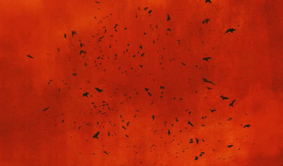 ØRGANEK wydaje reedycję "Czarnej Madonny"