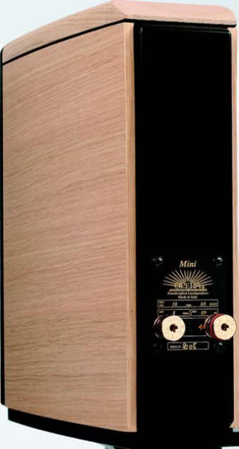 Jedna para,
ale jakże efektownych i wygodnych zacisków.
Dobrze, że tylna ścianka nie okazała się tak
wąska, aby podpowiedzieć konstruktorowi ich
ustawienie jeden nad drugim - co niestety
czasami się zdarza, a nie jest przyjemne
w obsłudze.