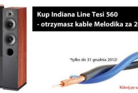 Kup Indiana Line Tesi 560 - otrzymasz gratis kable Melodika za 209 zł