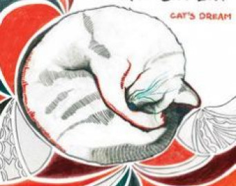 Cat`s Dream