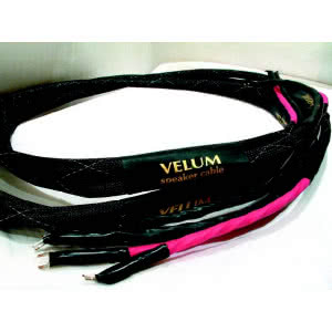 VELUM