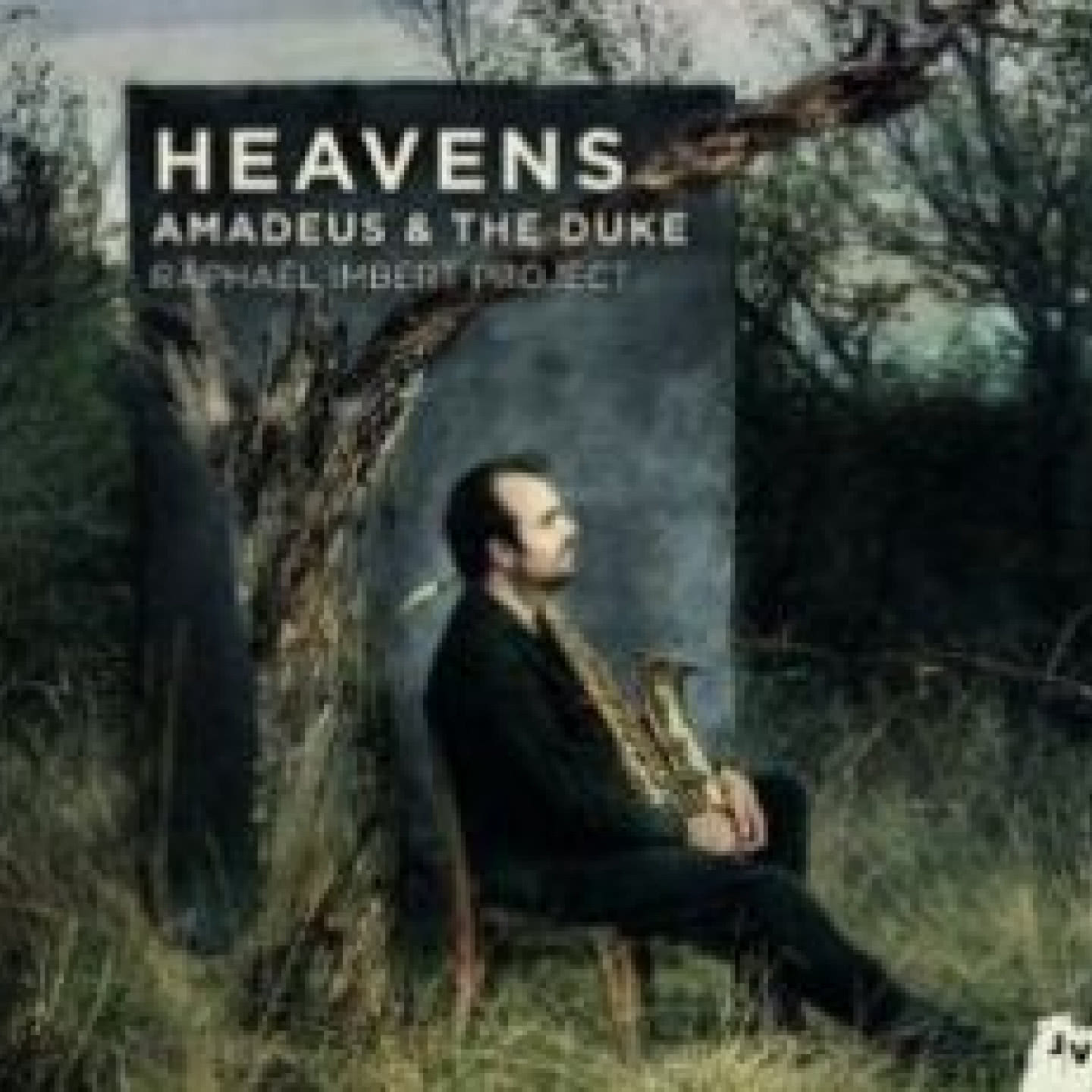 Heavens: Amadeus & The Duke