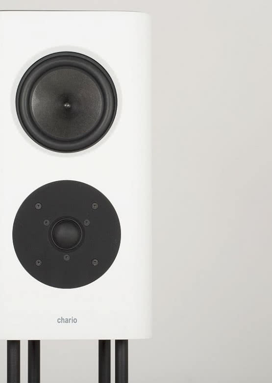 Monitory Chario Belong