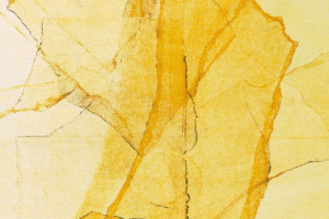 Central Park’s Mosaics