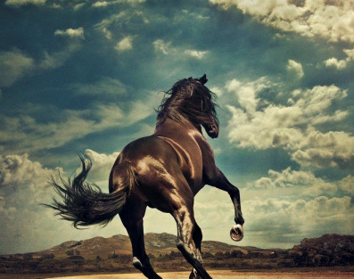  "Western Stars": Nowa płyta Bruce'a Springsteena już w czerwcu