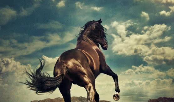  "Western Stars": Nowa płyta Bruce'a Springsteena już w czerwcu