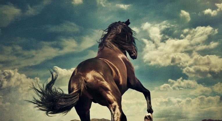  "Western Stars": Nowa płyta Bruce'a Springsteena już w czerwcu