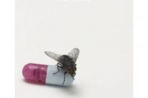 I`m With You
