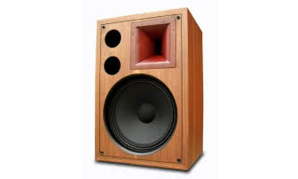 Dlaczego głośniki tubowe są często spotykane w kolumnach profesjonalnych, a rzadko w przeznaczonych do użytku domowego?