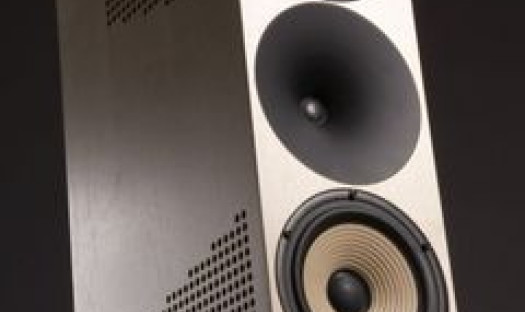 Amphion Krypton - topowy model fińskiego producenta w Premium Sound