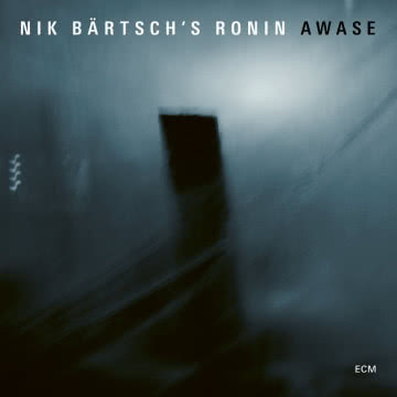 Nika Bärtsch Ronin - Awase Awase