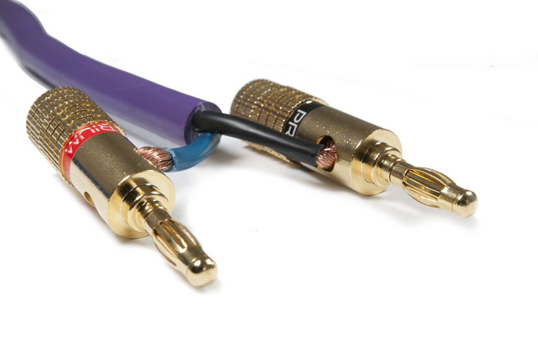 Wtyki Prium w ofercie Rafko Dystrybucja