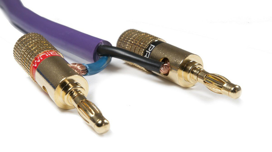 Wtyki Prium w ofercie Rafko Dystrybucja