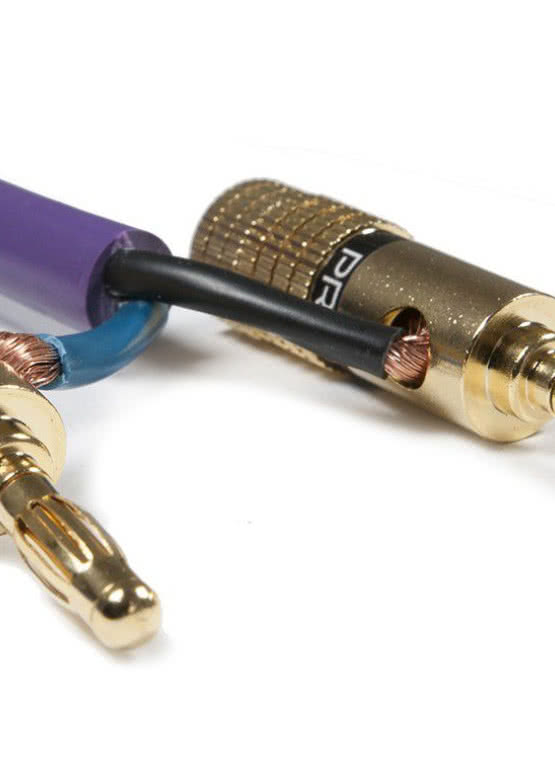 Wtyki Prium w ofercie Rafko Dystrybucja