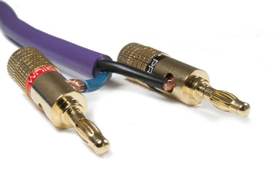 Wtyki Prium w ofercie Rafko Dystrybucja