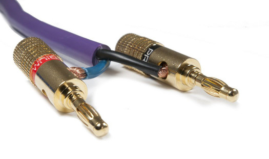 Wtyki Prium w ofercie Rafko Dystrybucja