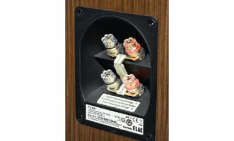 Jak od strony konstrukcji wygląda przygotowanie zespołu głośnikowego do pracy z podwójnym okablowaniem (bi-wiringiem)?