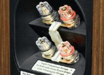 Jak od strony konstrukcji wygląda przygotowanie zespołu głośnikowego do pracy z podwójnym okablowaniem (bi-wiringiem)?