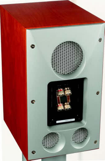 'Industrialny'
design tylnej
ścianki obejmuje
aż trzy zakratowane
otwory,
z których dwa
dolne są
bas-refleksami,
a górny,
największy,
kończy tunel
prowadzący od
głośnika
wysokotonowego.