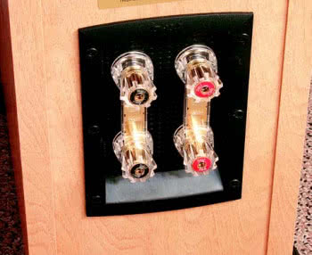 Czy przy stosowaniu bi-wiringu konieczne są podwójne wyjścia głośnikowe we wzmacniaczu?