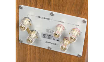 Na czym polega bi-amping i jakie są jego warianty?