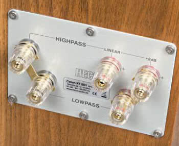 Na czym polega bi-amping i jakie są jego warianty?