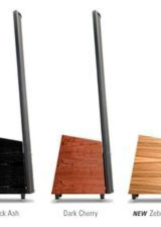 Martin Logan Thoes: elektrostaty w sprzedaży