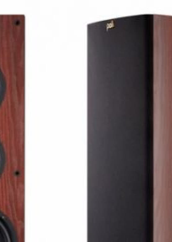 Kolumny Polk Audio TSx