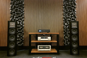 Prezentacje kolumn Piega COAX 711 LTD Edition w salonie audioplaza.pl
