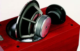 Błyszczący pierścień widoczny
z zewnątrz to nie żadna imitacja
i dokręcona dekoracja, ale integralna
część nowoczesnego, odlewanego,
aluminiowego kosza.