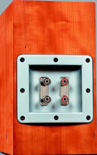 Terminal przyłączeniowy rozpościera się na
całą szerokość tylnej ścianki. To nie terminal
jest taki duży, tylko ścianka taka mała.