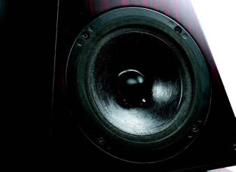 Pięknie grający brzydal -
z wysmarowaną jakimś
paskudztwem membraną
aerożelową.