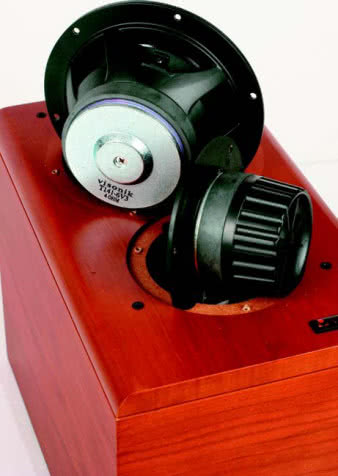 Evolution 3 podobnie jak Mini S520, to
konstrukcja mała, nawet wśród podstawkowców,
ale bardzo zacna swoimi komponentami
- głośnik nisko-średniotonowy ma odlewany
kosz, a wysokotonowy wyjątkowo dużą
komorę wytłumiającą. Wykończenia
naturalnym fornirem też nie spotykamy na co
dzień poniżej 2000zł.